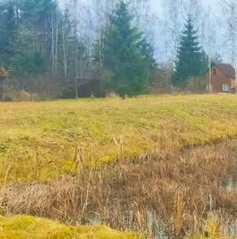 Продажа земли Посадников остров садоводческий массив, Реставратор СНТ, 24-я линия, 167