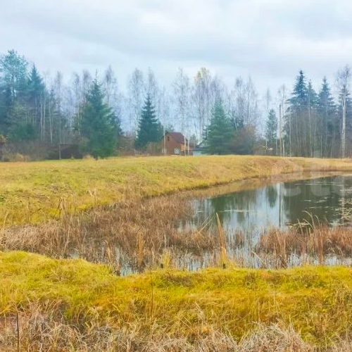 Земельный участок Посадников остров садоводческий массив, Реставратор СНТ, 24-я линия, 167