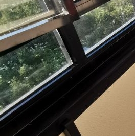 Аренда 1-комн квартиры на вторичном рынке аллея Арцеуловская, 9 Аренда 1-комн квартиры на вторичном рынке аллея Арцеуловская, 9