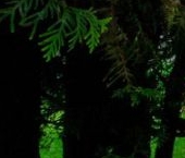 Продать Дачи, коттеджи, загородные дома Сестрорецк, Разлив СНТ, дорожка 23-я, 30/21   