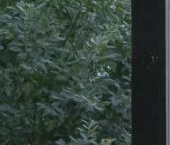 Продать Дачи, коттеджи, загородные дома Балтийская Слобода 2 кп, улица Светлая  5 