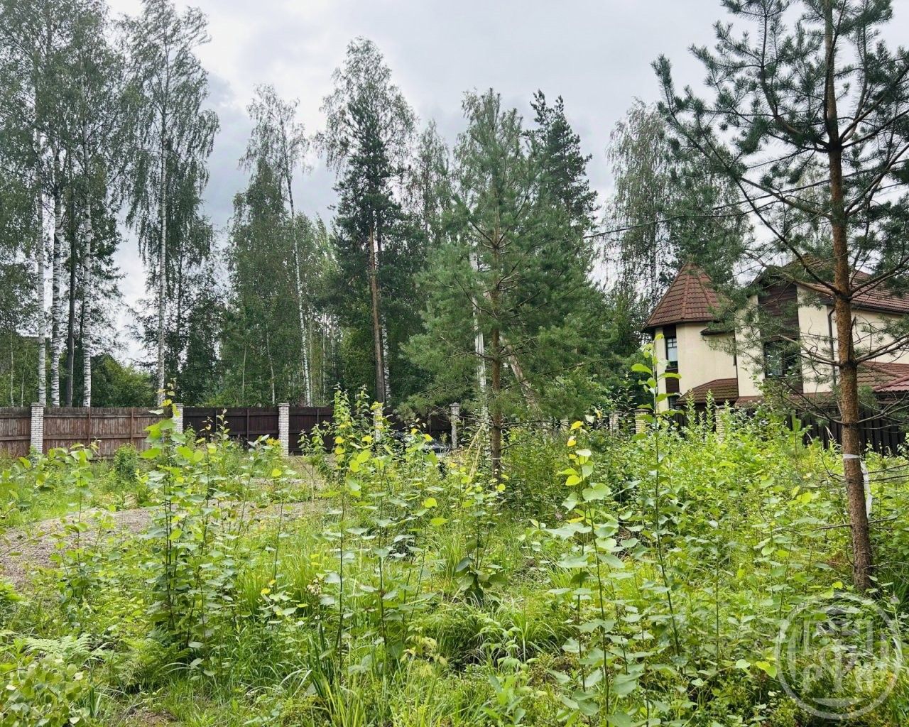 Продажа земли Березовая роща ДНП, Сертолово, улица Сиреневая