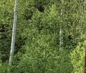 Продать Дачи, коттеджи, загородные дома Захожье-2 садоводческий массив, Захожье-3 СНТ, 8-я линия   