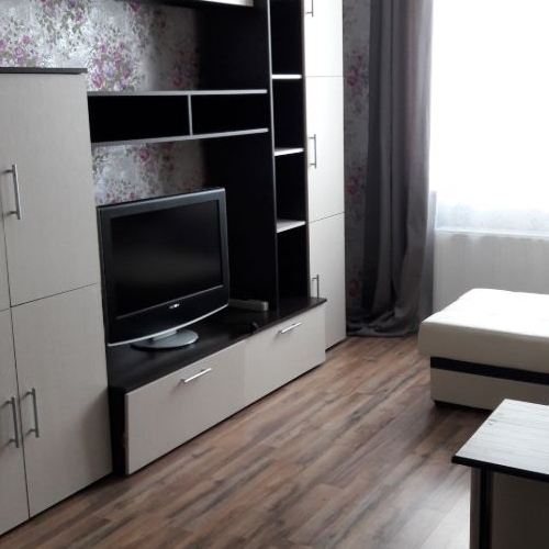 1-комн квартира Пушкин, Саперная улица, 55к2с2