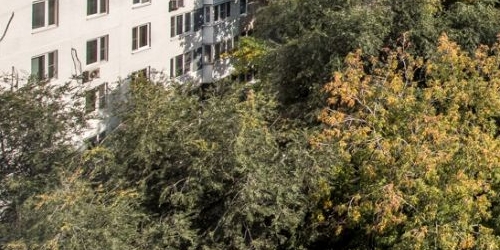 1-комн квартира Орлово-Давыдовский переулок, 1