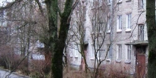 2-комн квартира Пушкин, Прямой переулок, 1