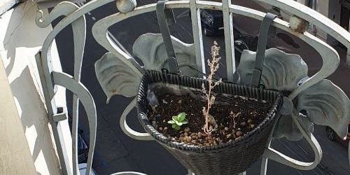 Комната Бородинская улица, 12/31