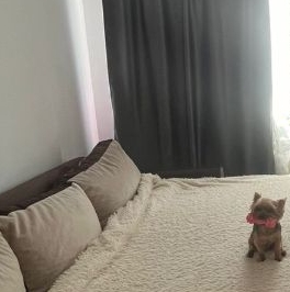 Продажа 3-комн квартиры на вторичном рынке улица Сикейроса, 6К1