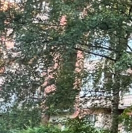 Продажа 1-комн квартиры на вторичном рынке Пушкин, улица Генерала Хазова, 6