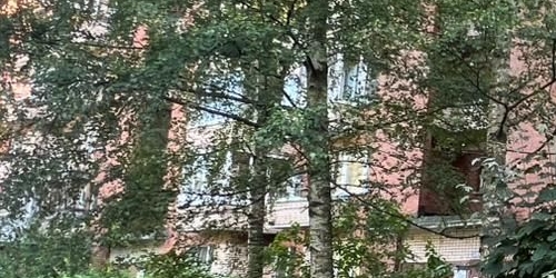 1-комн квартира Пушкин, улица Генерала Хазова, 6