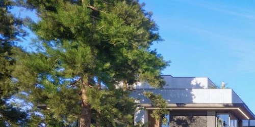 Коттедж/дом пос. Лисий Нос, Приморское шоссе, 26А