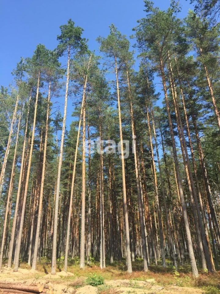 Продажа земли Акватория кп, пос. Пески,  д. 63