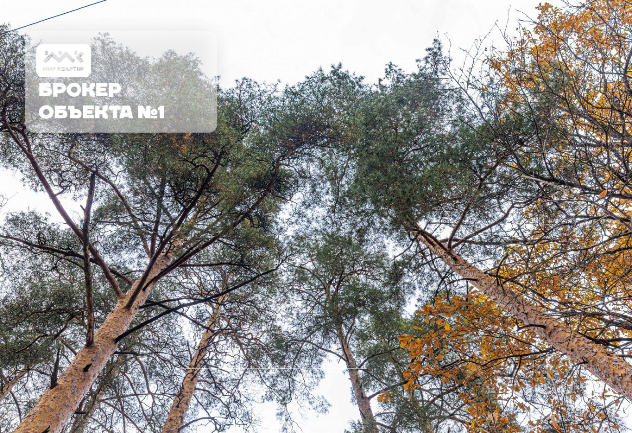 Продажа земли Всеволожск, проспект Герцена, 73