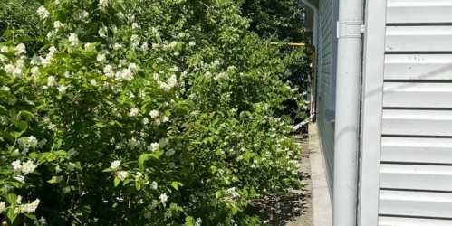 Коттедж/дом Ломоносов г., Лесная ул. ,  д. 8а