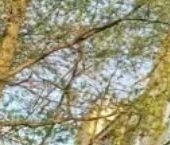 Продать Квартиры вторичка улица Федора Полетаева, 32К1   