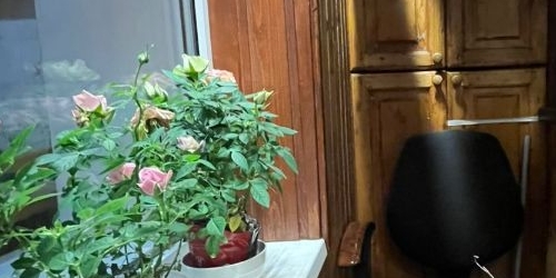 3-комн квартира Алтайская улица, 26