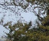 Продать Квартиры вторичка Елецкая улица, 8К1   