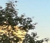 Продать Квартиры вторичка Большая Марфинская улица, 4к5   