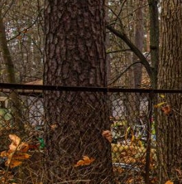 Продажа земли Всеволожск, проспект Герцена, 73