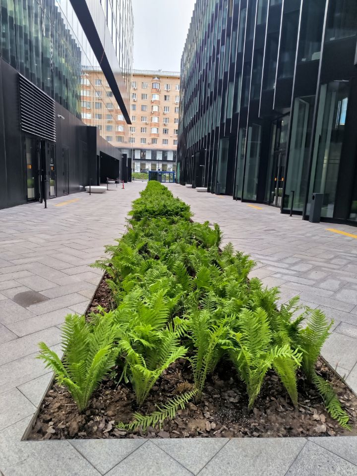 Продажа 3-комн квартиры на вторичном рынке Ленинский проспект, 38Ак1