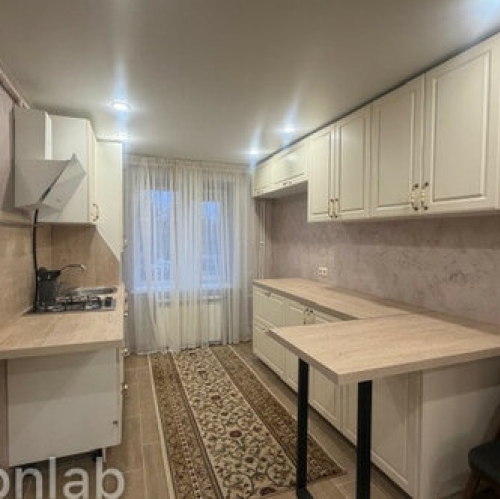 1-комн квартира Красный Бор, ул Культуры,  д. 3