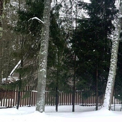 Коттедж/дом Вырица городской поселок, улица Максима Горького