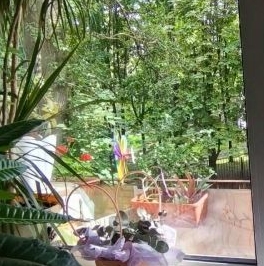 Продажа 2-комн квартиры на вторичном рынке Софийская улица, 35К5 Продажа 2-комн квартиры на вторичном рынке Софийская улица, 35К5