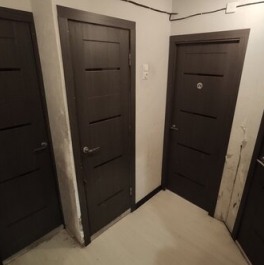 Продажа 1-комн квартиры на вторичном рынке пр-кт Мечникова,  д. 5,  к. 2