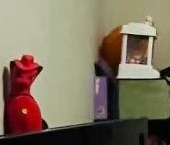 Продать Квартиры вторичка Электросталь, Полярный проезд, 4   