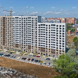 Продажа торгового помещения Новоподрезково, 1-я Сестрорецкая улица,  д. 1