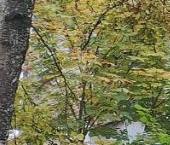 Сдать в аренду Квартиры вторичка Лесной пгт, улица Пушкина, 3   