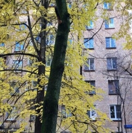 Продажа 2-комн квартиры на вторичном рынке улица Долгова,  д. 1 к3