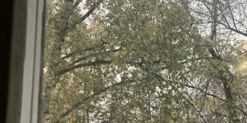 1-комн квартира улица Хлобыстова, 20К1