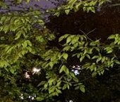 Продать Квартиры вторичка улица Гончарова, 17В   