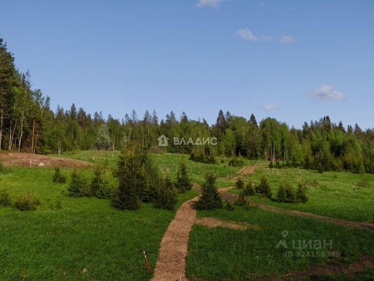 Продажа земли Линтулово кп, проезд Иволговый