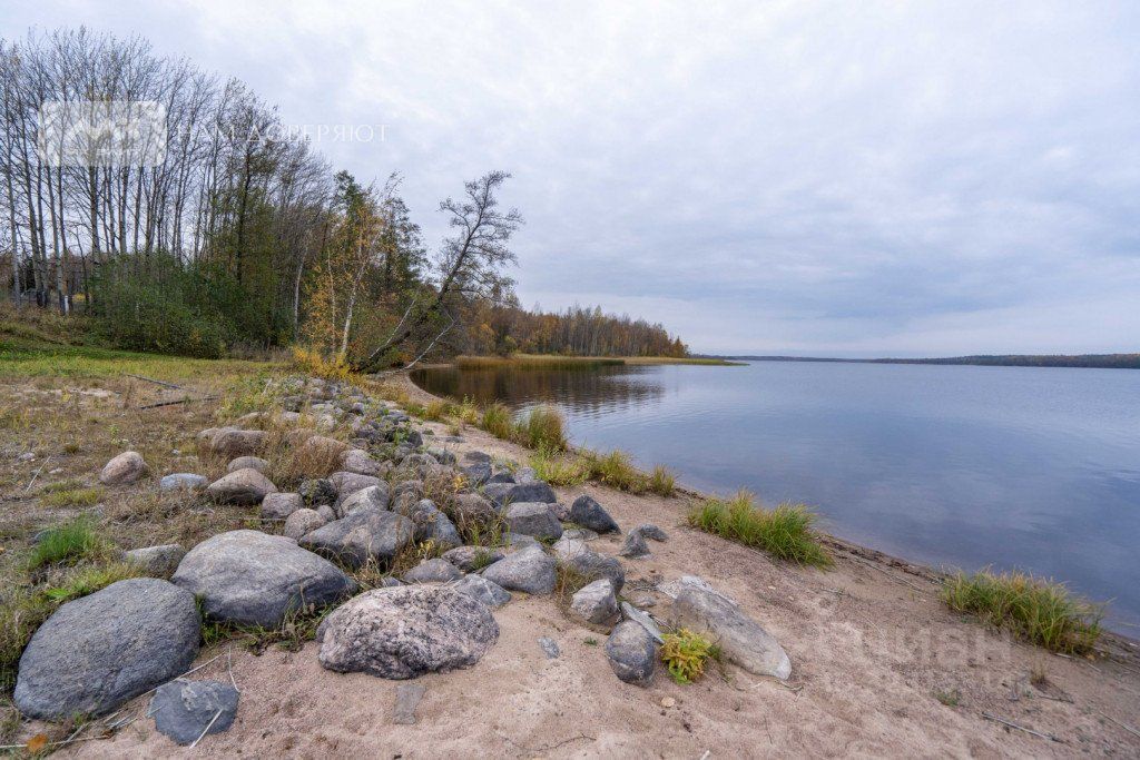 Продажа земли д. Силино, улица Короткая, 2