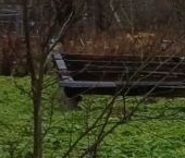 Продать Земельные участки, земля Коммунар г., улица Новая, 8   