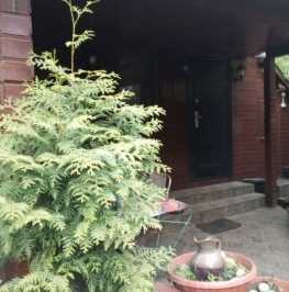 Продажа дома Ильинский, ул Карла Маркса,  д. 41