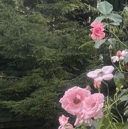 Продажа дома д. Вериговщина, улица 2-я Дачная