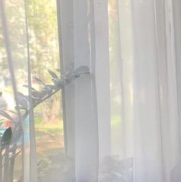 Аренда комнаты Элеваторная улица, 14 Аренда комнаты Элеваторная улица, 14