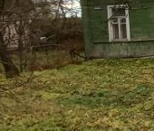 Продать Дачи, коттеджи, загородные дома Сергиево тер., улица Российская, 38/2   