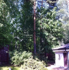 Продажа дома Репино, 2-я Новая