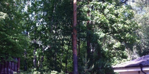 Коттедж/дом Репино, 2-я Новая