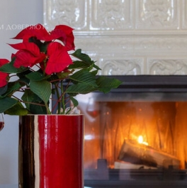 Продажа 3-комн квартиры на вторичном рынке Пушкарская М. ул,  д. 20/4