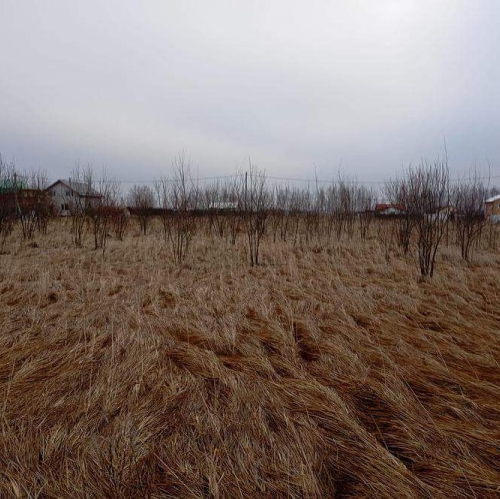 Земельный участок деревня Аргуново