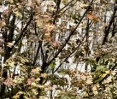 Продать Квартиры вторичка Нахимовский проспект, 31к3   