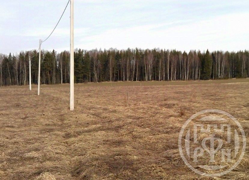 Продажа земли Сланцы, улица Баранова