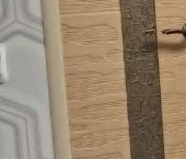 Сдать в аренду Квартиры вторичка Красногорск г, Волоколамское ш  1а 