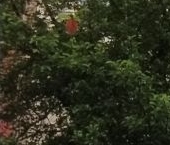 Продать Квартиры вторичка Гатчина, улица Изотова, 12к1   