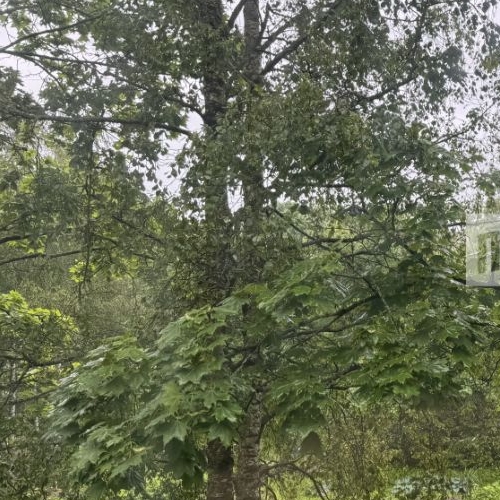 2-комн квартира д. Лесколово, улица Красноборская, 11